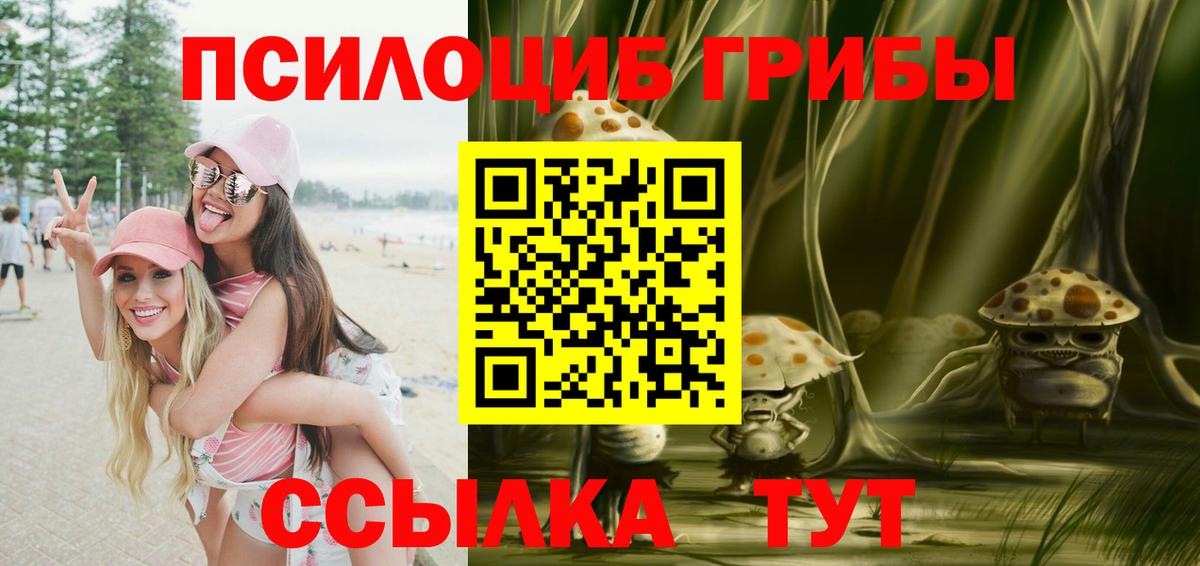 Дедовск  Псилоцибиновые грибы Psilocybine cubensis  Вход с VPN 